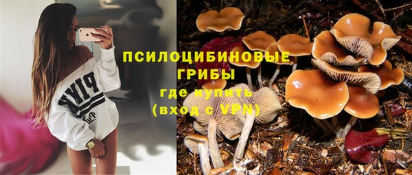 кокаин VHQ Каменка