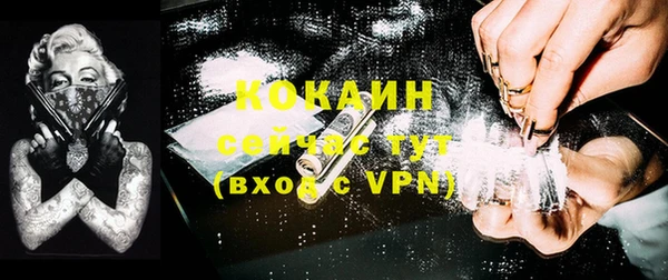 прущие грибы Каменск-Шахтинский