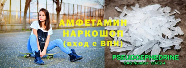прущие грибы Каменск-Шахтинский