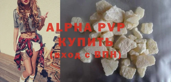 прущие грибы Каменск-Шахтинский