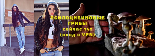 mdpv Каменногорск