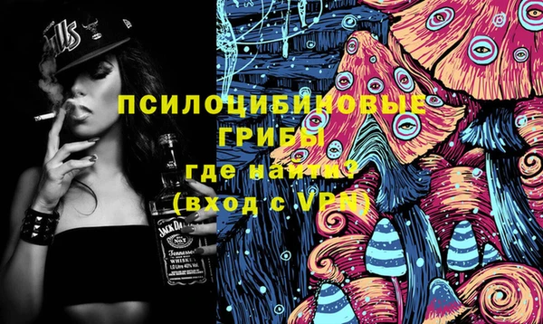 прущие грибы Каменск-Шахтинский