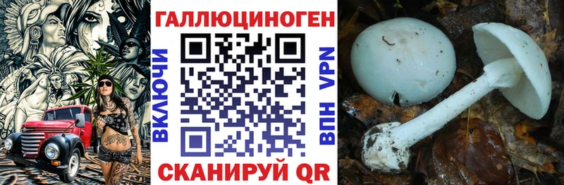 Псилоцибиновые грибы мухоморы  Купить где  Бор 
